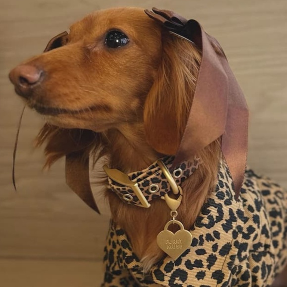 Wander! Multiway Waterproof Leash Leopard NEW - Picture 4 of 4